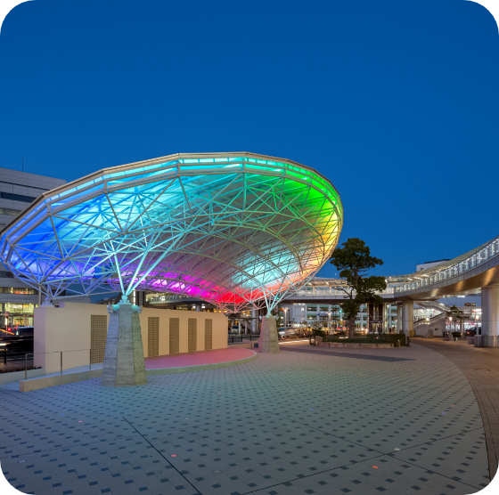 カリココプラス