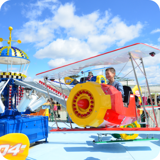 カリココプラス