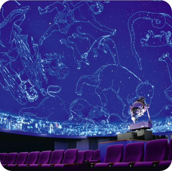 カリココプラス