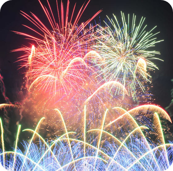 カリココプラス