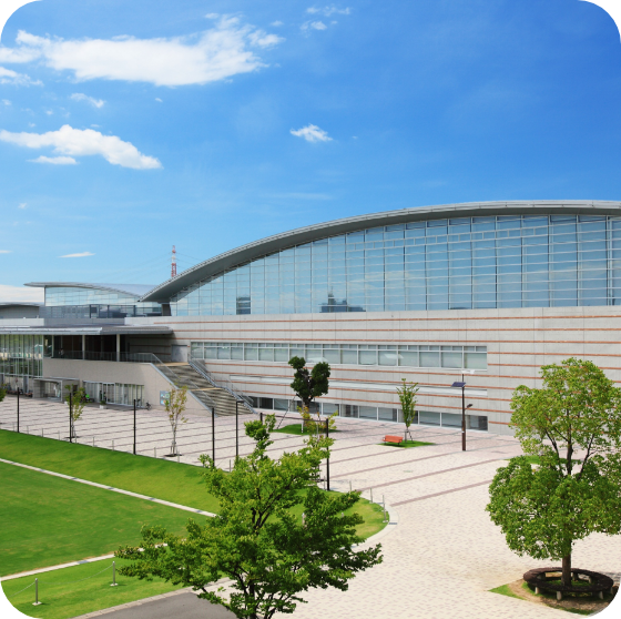 カリココプラス