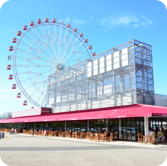 カリココプラス